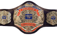Television Championship