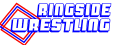 ringside-logo.jpg (112946 bytes)