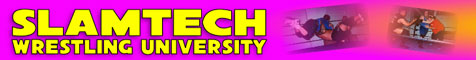 slamtech-banner-1.jpg (13907 bytes)