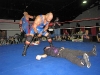 NECW8710284-vi.jpg